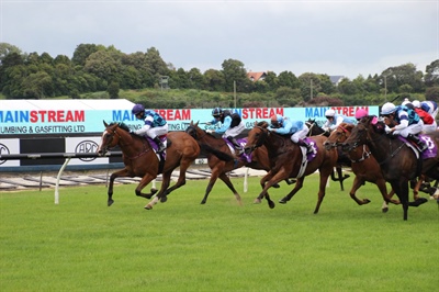 LOGAN RACING STABLES HAVE 3 STARTERS AT ELLERSLIE ON SATURDAY 25TH MAY